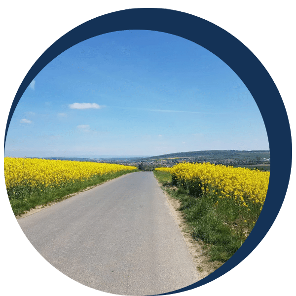 naturheilpraxis im usatal kontakt